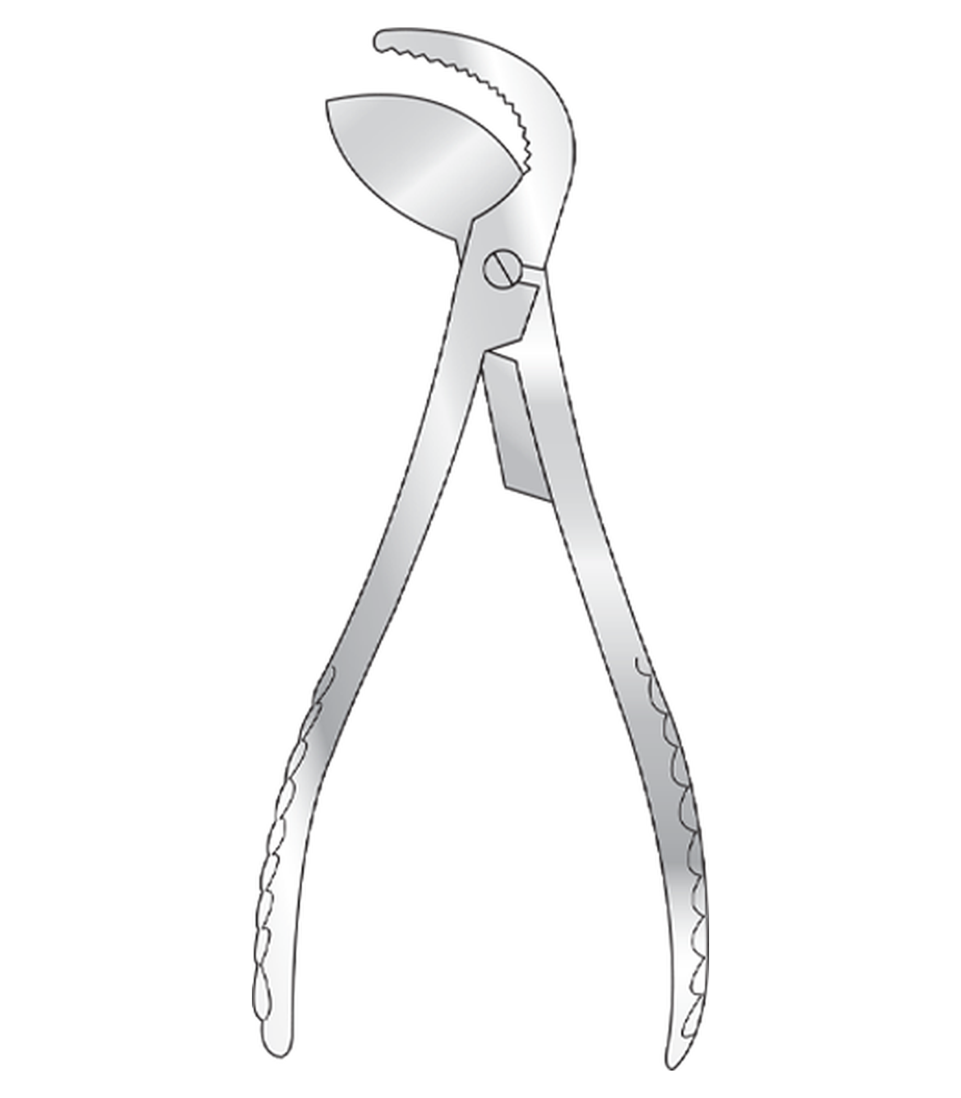 img-1002.png Rib Shears - Image 1