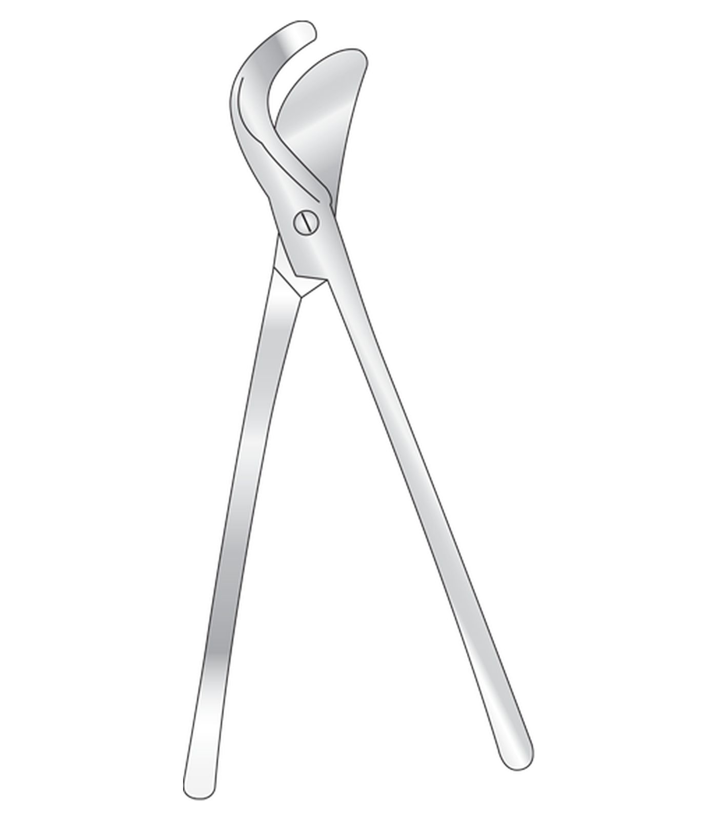 img-1003.png Pollock Rib Shears - Image 1