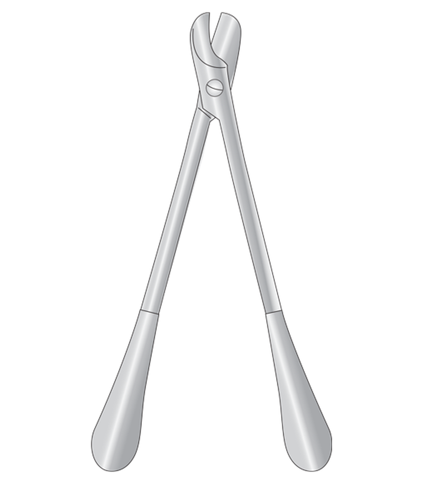 img-1004.png Pollock Rib Shears - Image 1