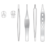 Jean Dissecting Forceps