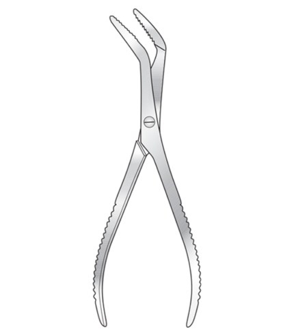 Dura Mater Stripping Forceps