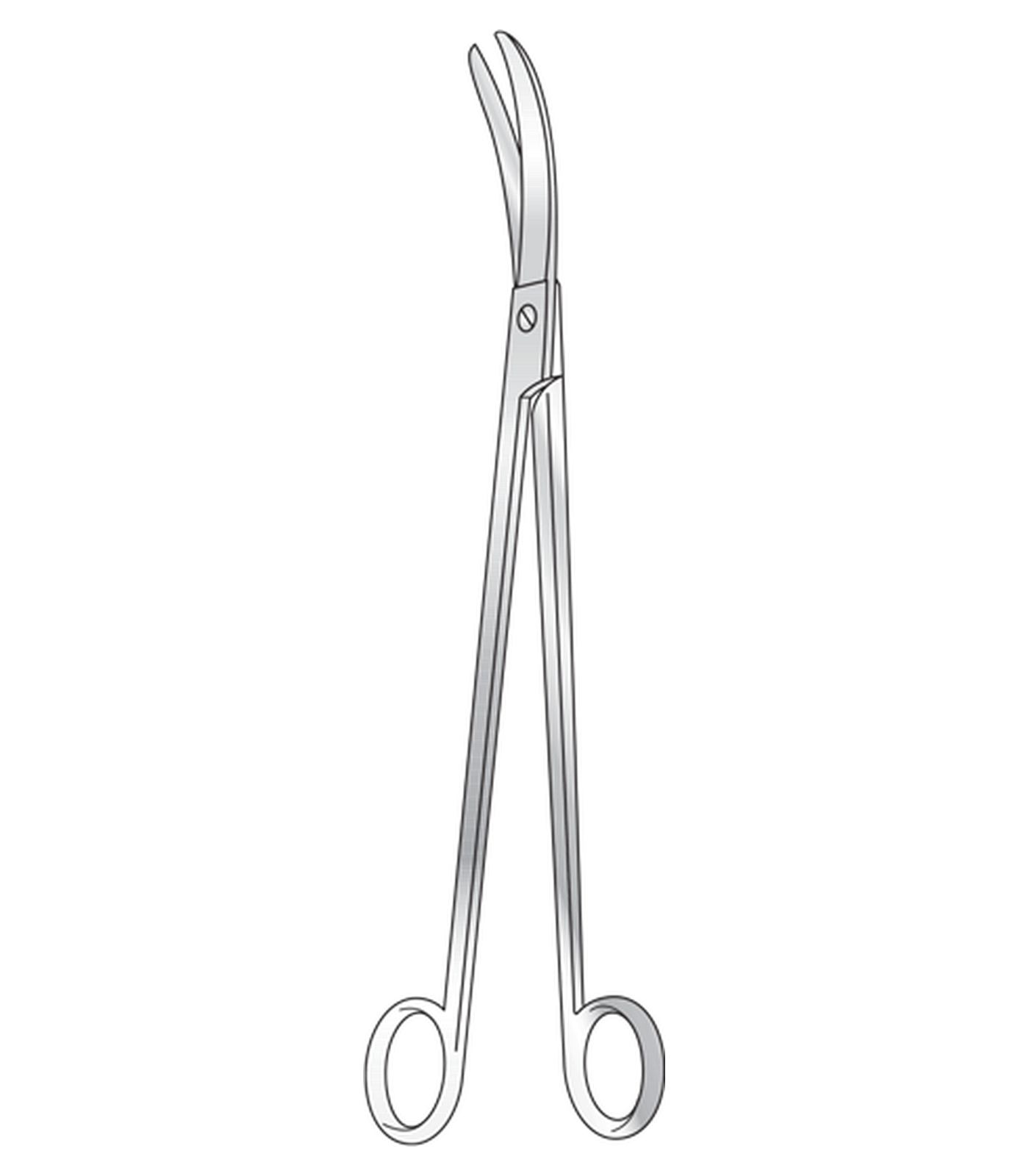 img-1045.png Lloyd-Davis Rectal Scissors - Image 1