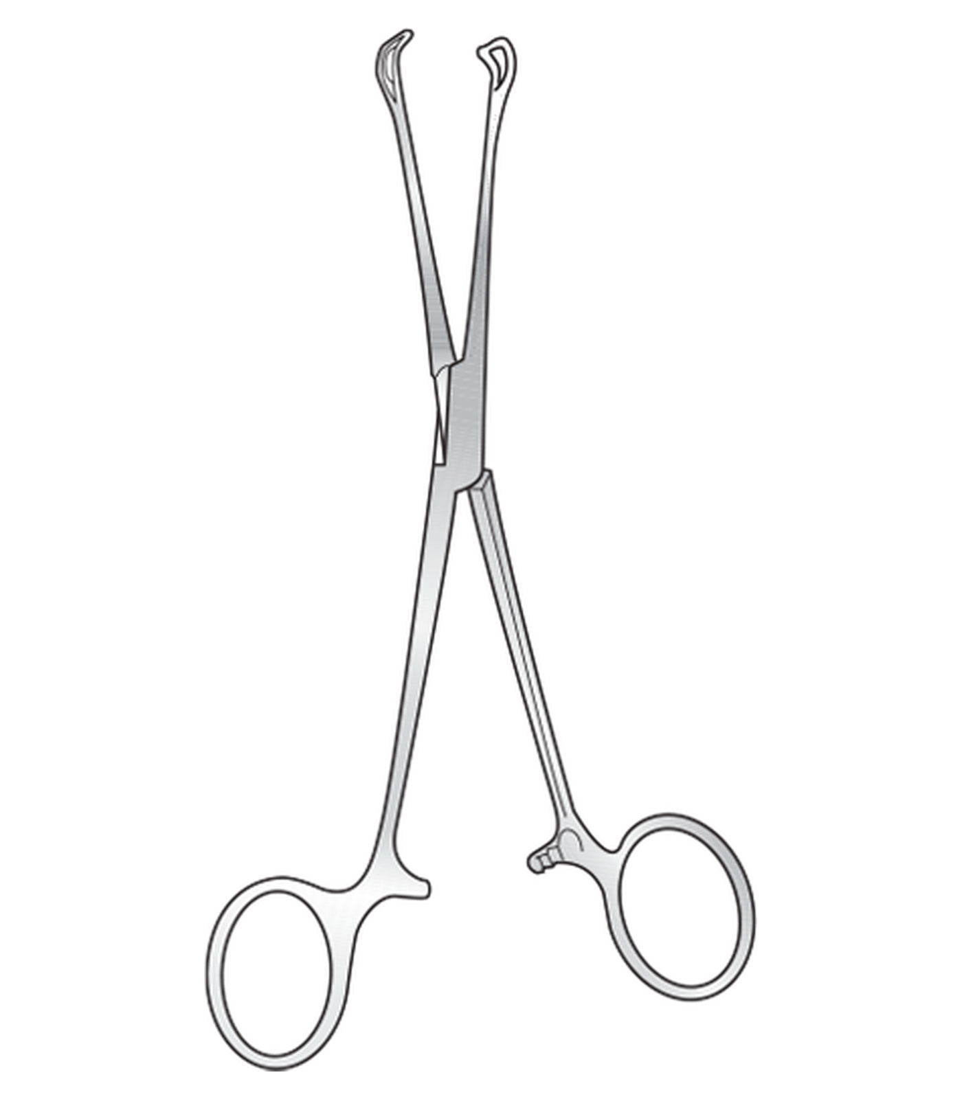 img-119.png Babcock Tissue Forceps - Image 1