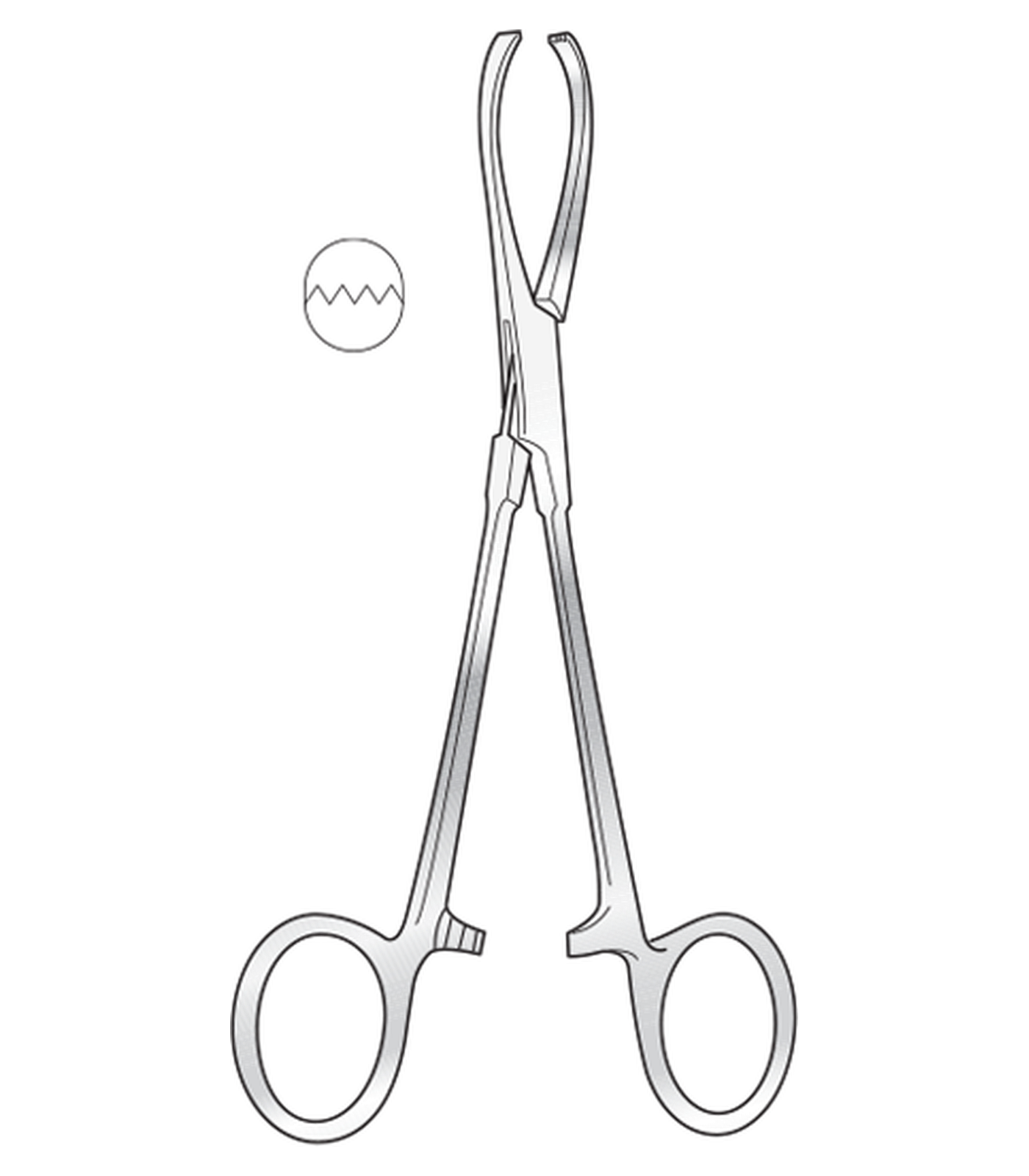img-120.png Rutherford Morrison Tissue Forceps - Image 1
