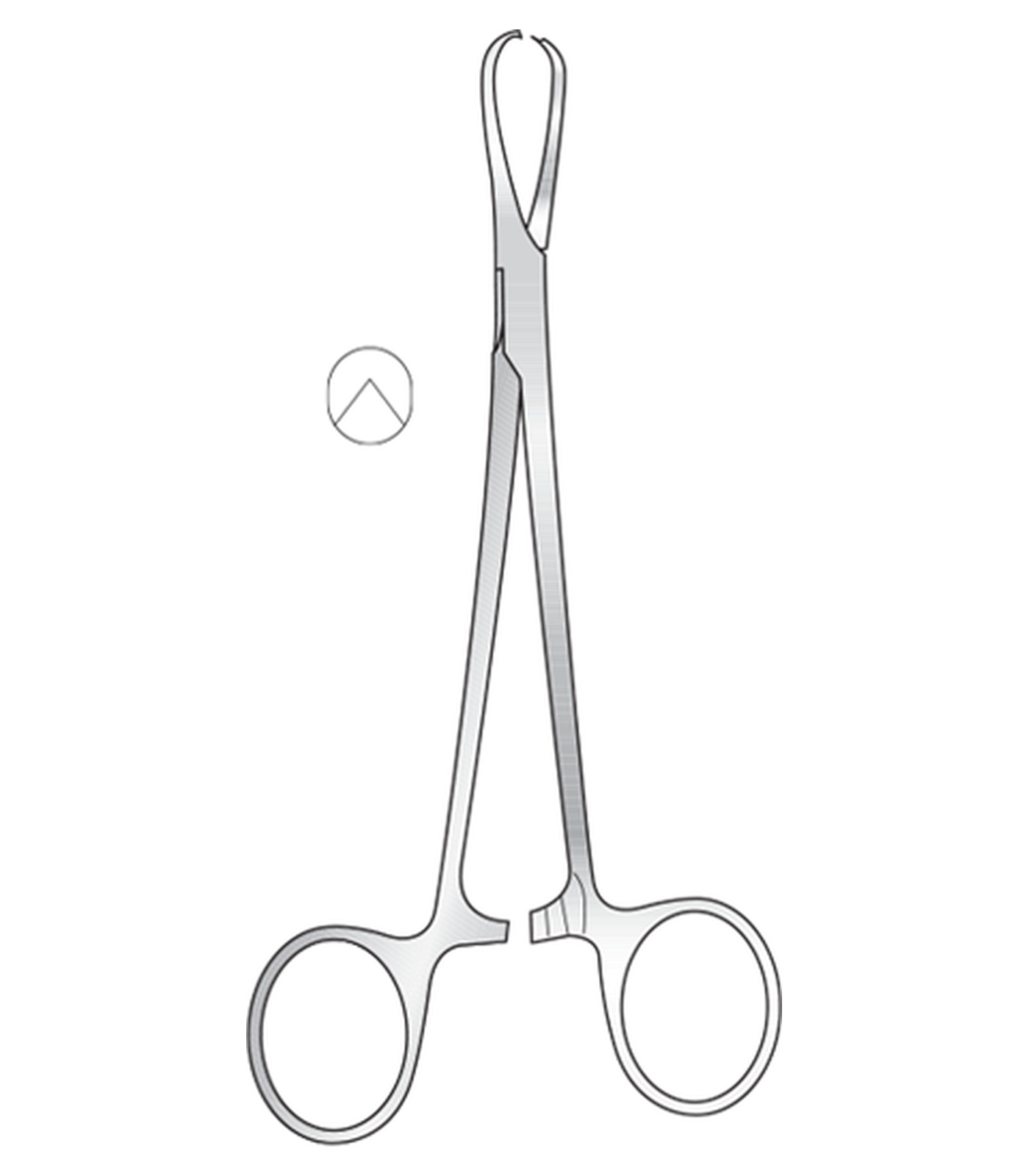 img-121.png Shaw Tissue Forceps - Image 1