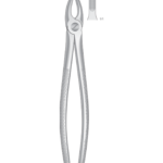 Upper Incisors and cuspids
