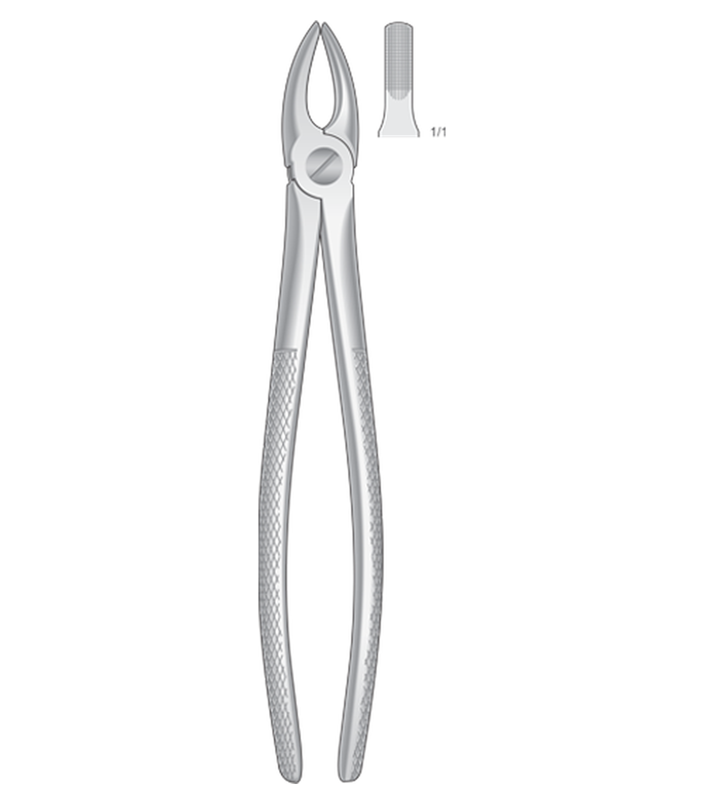 img-1304.png Upper Incisors and cuspids - Image 1
