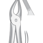 Upper premolars