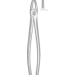 Upper Roots and incisors