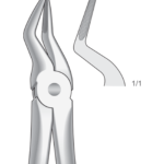 Upper Roots