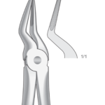 Upper Roots