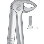 Lower incisors, premolars and roots