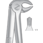Lower molars