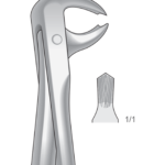 Lower molars