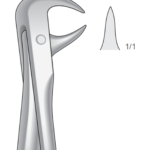 Lower molars
