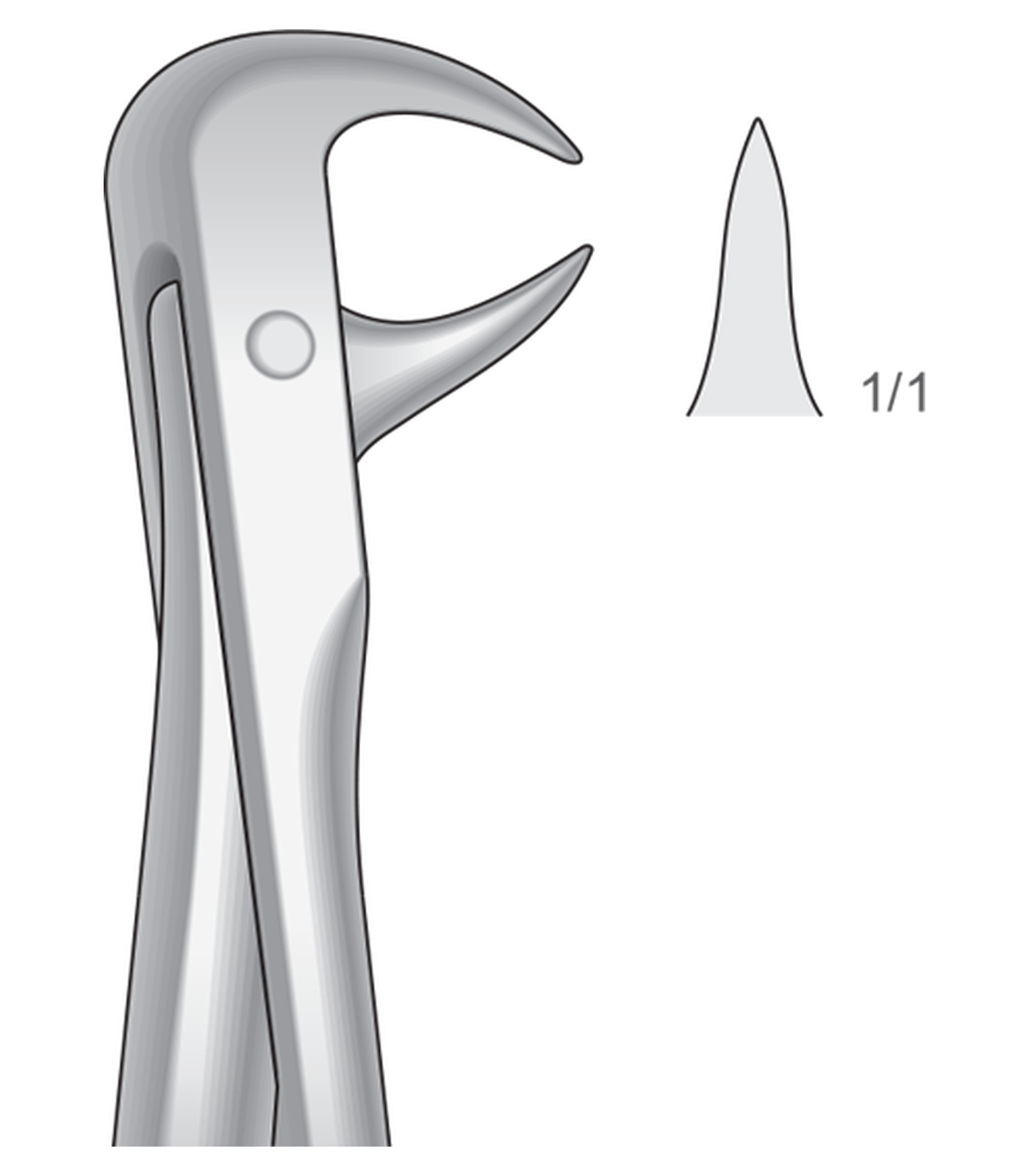 img-1322.png Lower molars - Image 1