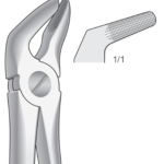 Lower premolars