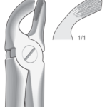 Lower wisdom teeth and molars