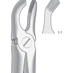 Lower wisdom teeths