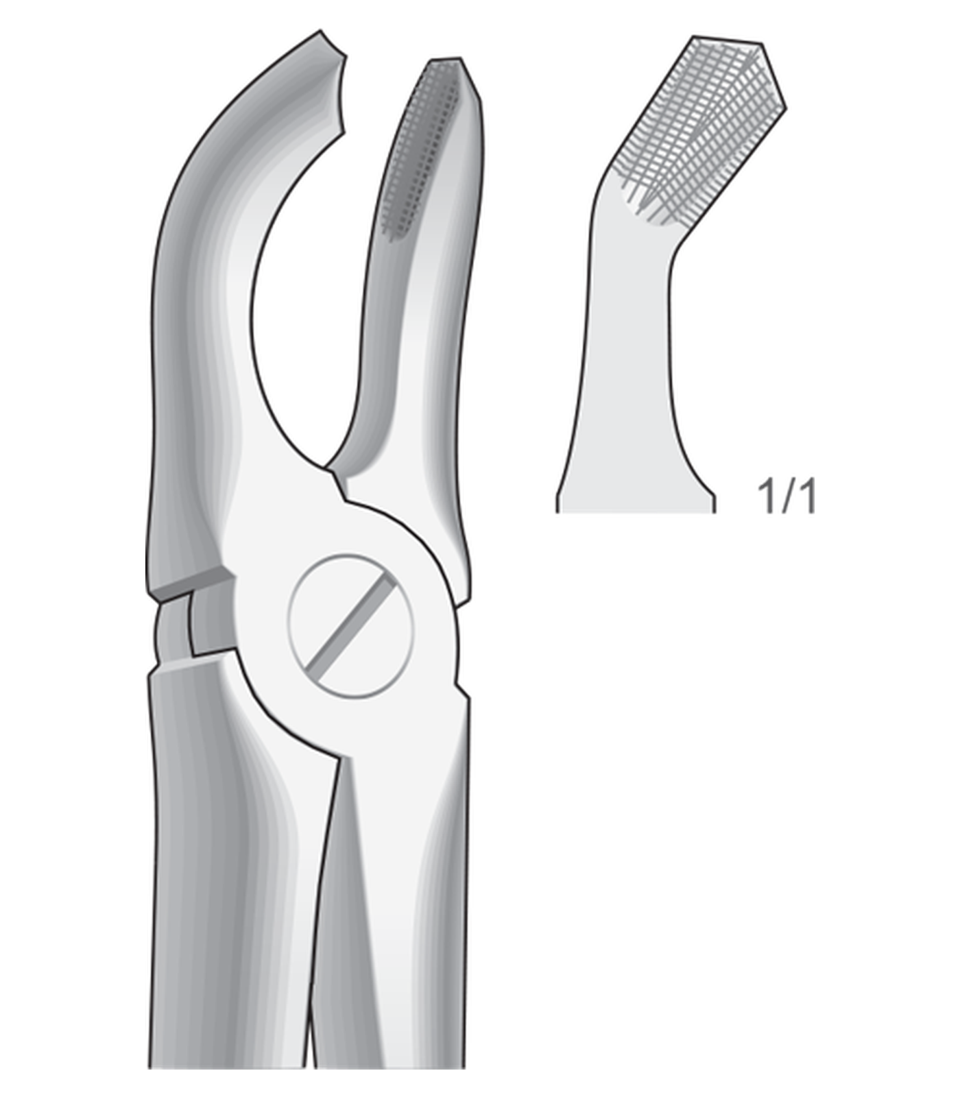 img-1325.png Lower wisdom teeths - Image 1