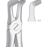 Lower molars and wisdom teeths