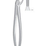 Lower Incisors and cuspids