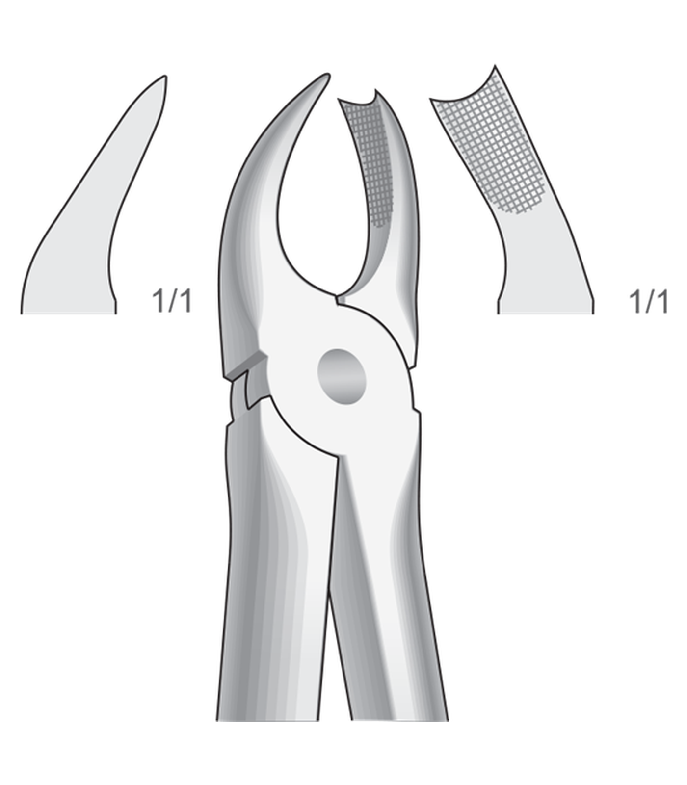 img-1328.png Upper molars, right - Image 1