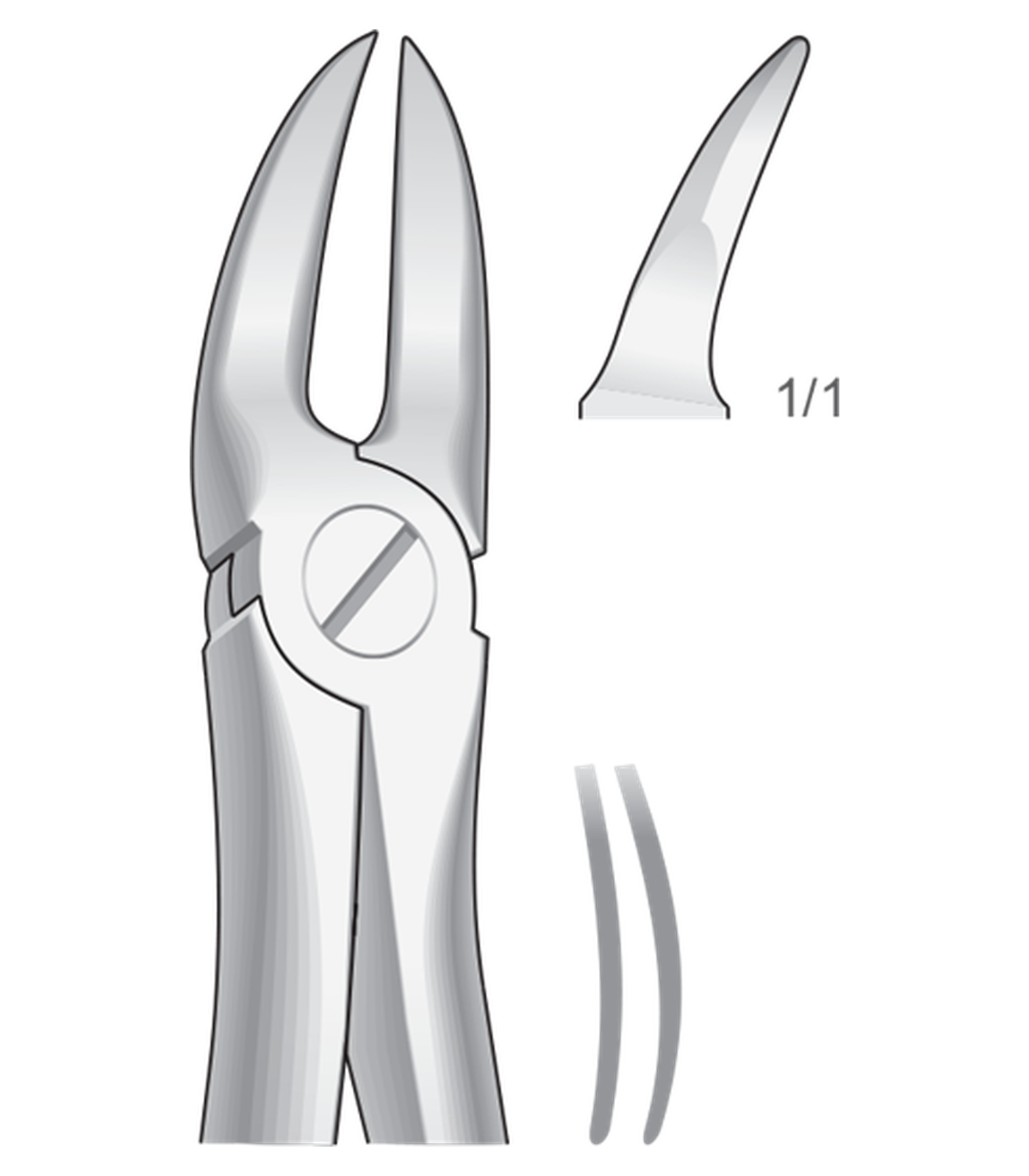 img-1331.png For separating upper molar roots - Image 1