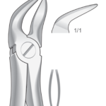 For separating lower molar roots