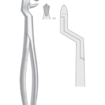 Lower molars and wisdom teeths, right 22 ½ R