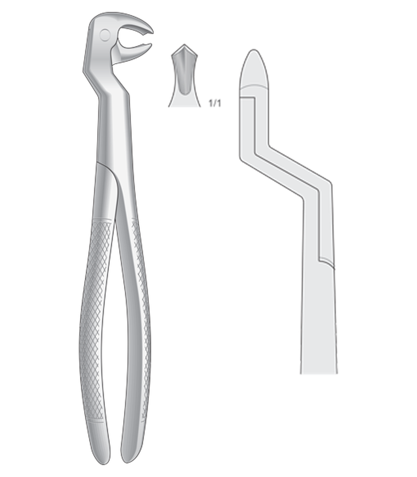 img-1335.png Lower molars and wisdom teeths, right 22 ½ R - Image 1