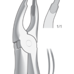 Upper incisors and bicuspids, deep-gripping