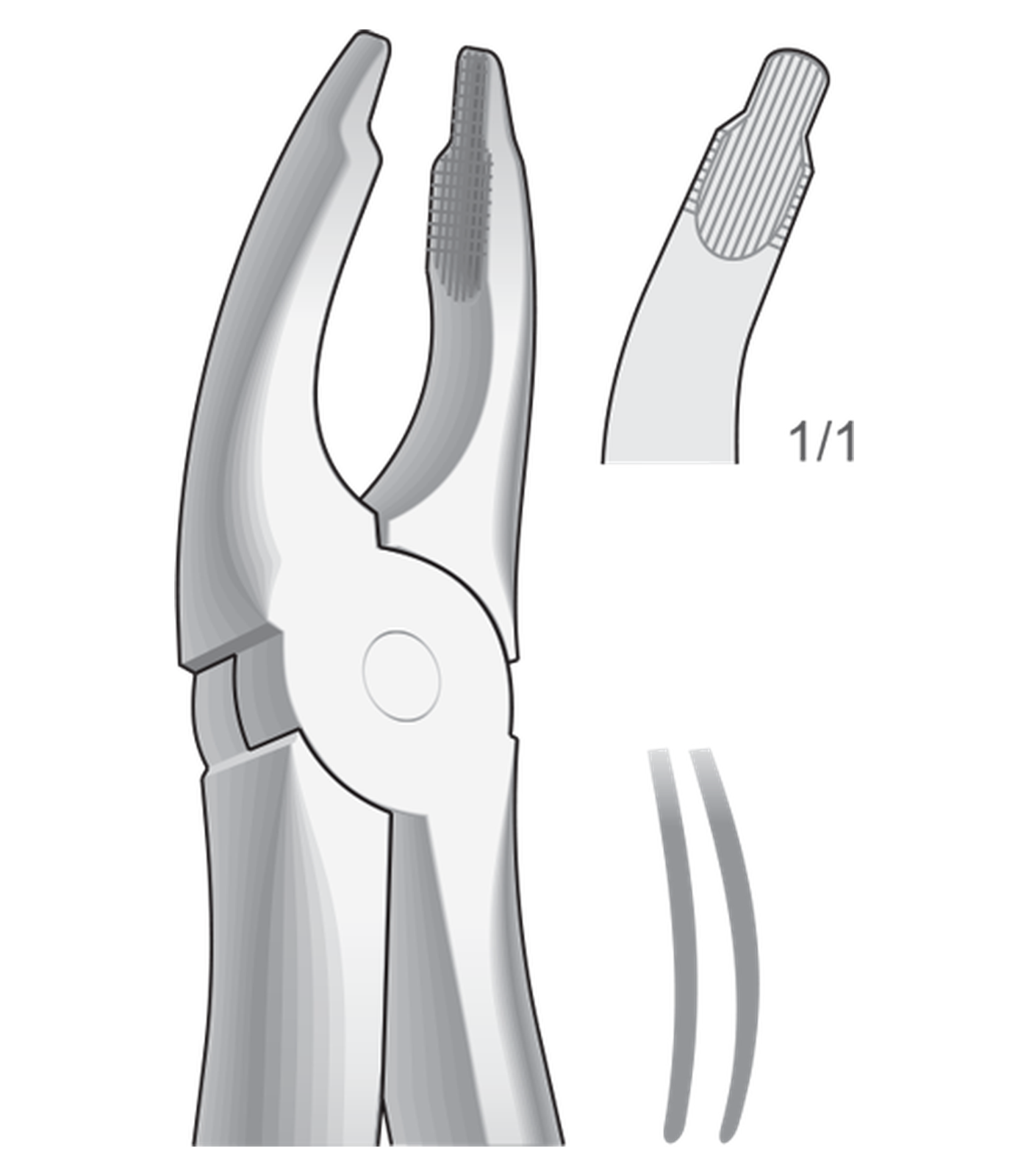 img-1340.png Upper incisors and bicuspids, deep-gripping - Image 1