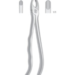 Upper incisors and cuspids