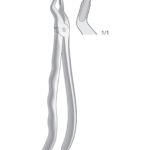 Upper premolars
