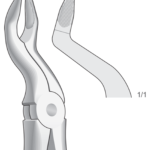 Upper molars