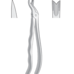 Upper molars, right