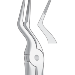 Upper Root Fragments