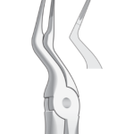 Upper Root Fragments