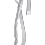 Lower roots, incisors and cuspids