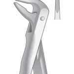 Lower Root Fragments