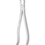 Lower wisdom teeths