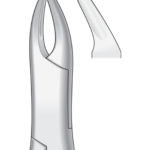 Upper Bicuspids, incisors and roots