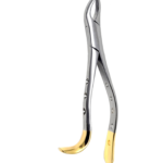 Upper Molars, Left, Gold Handle