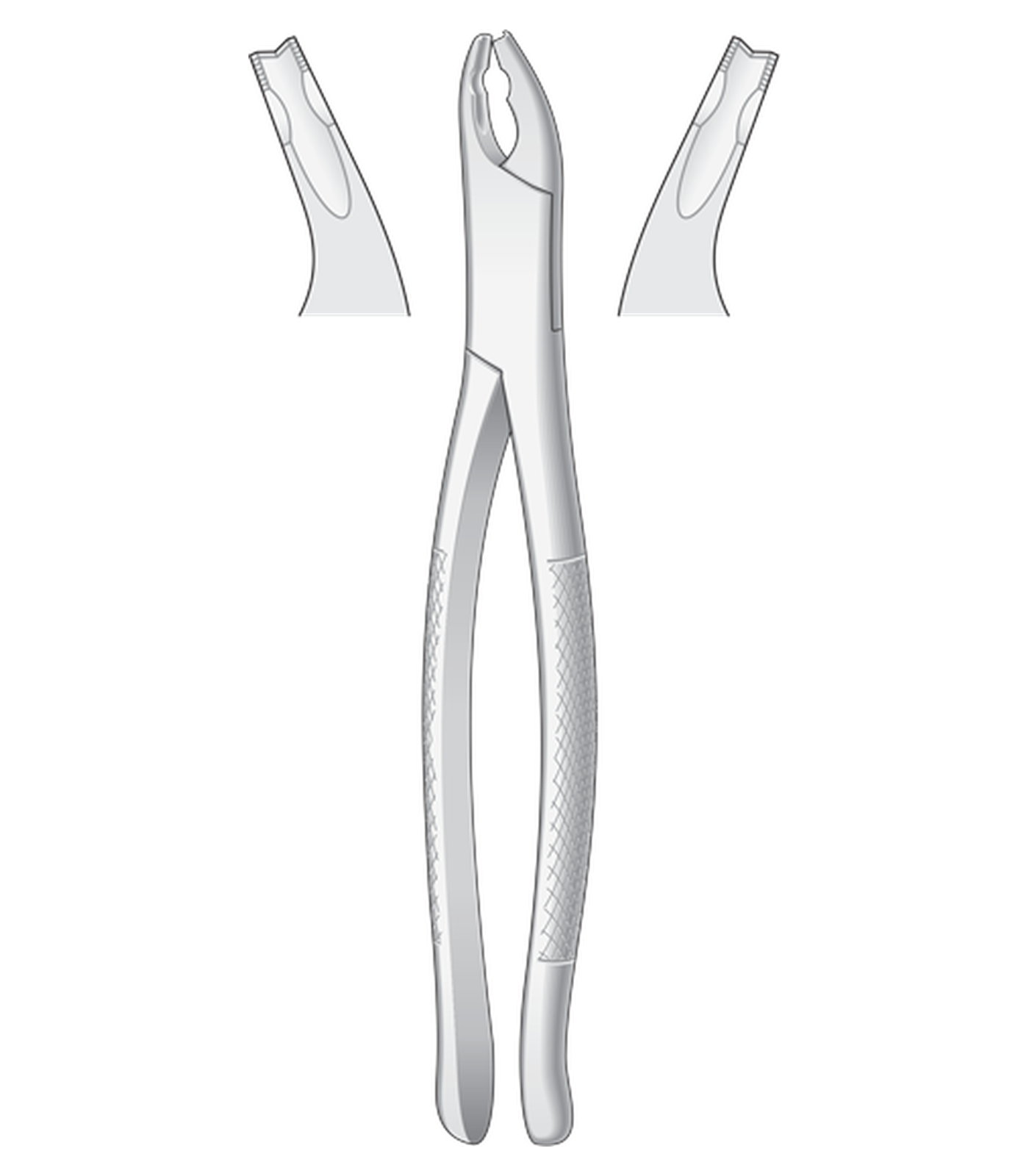 img-1364.png Fig. 150AS Bicuspids, incisors and roots,
Upper / Lower
170 mm long - Image 1