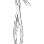 Pedo Lower Molars