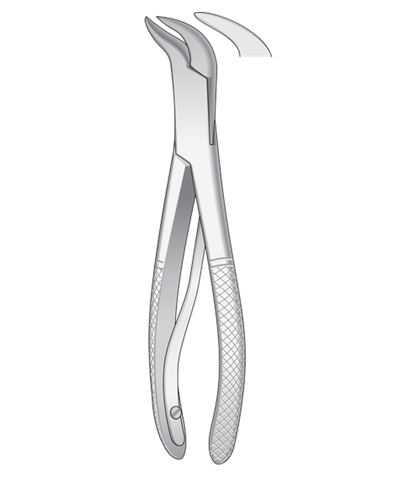 img-1366.png Pedo Lower Molars - Image 1