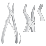 Extracting Forceps