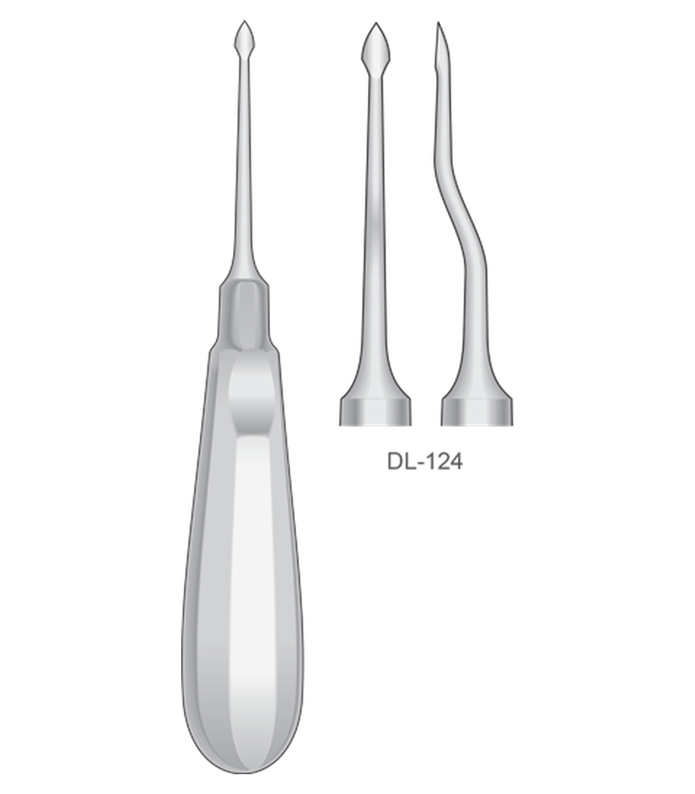 img-1423.png Root Elevators, Bayonet BERNARD - Image 1