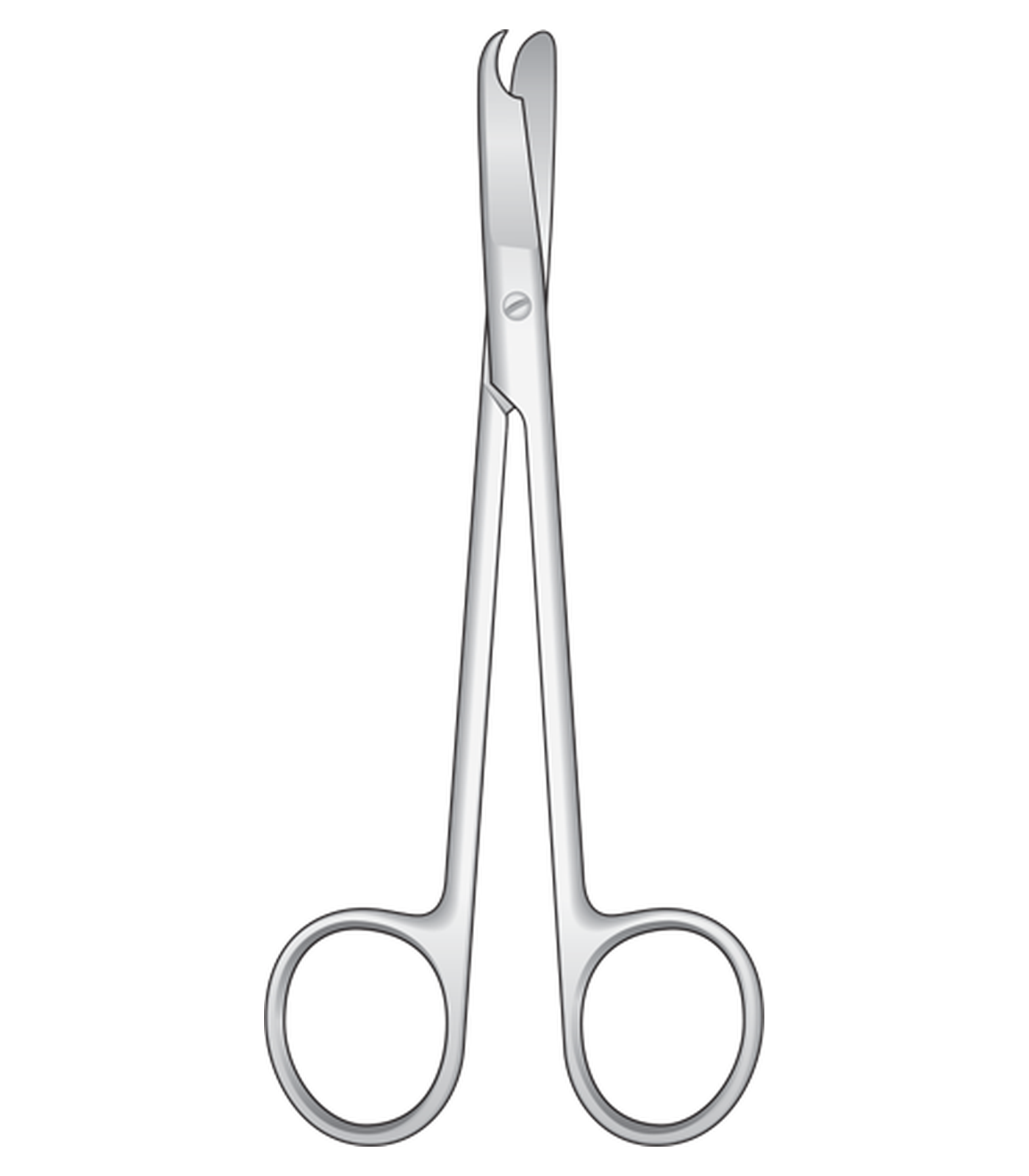 img-1481.png Littauer Scissors - Image 1